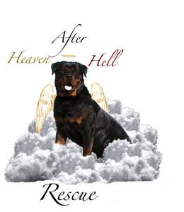 Heaven After Hell Animal Rescue