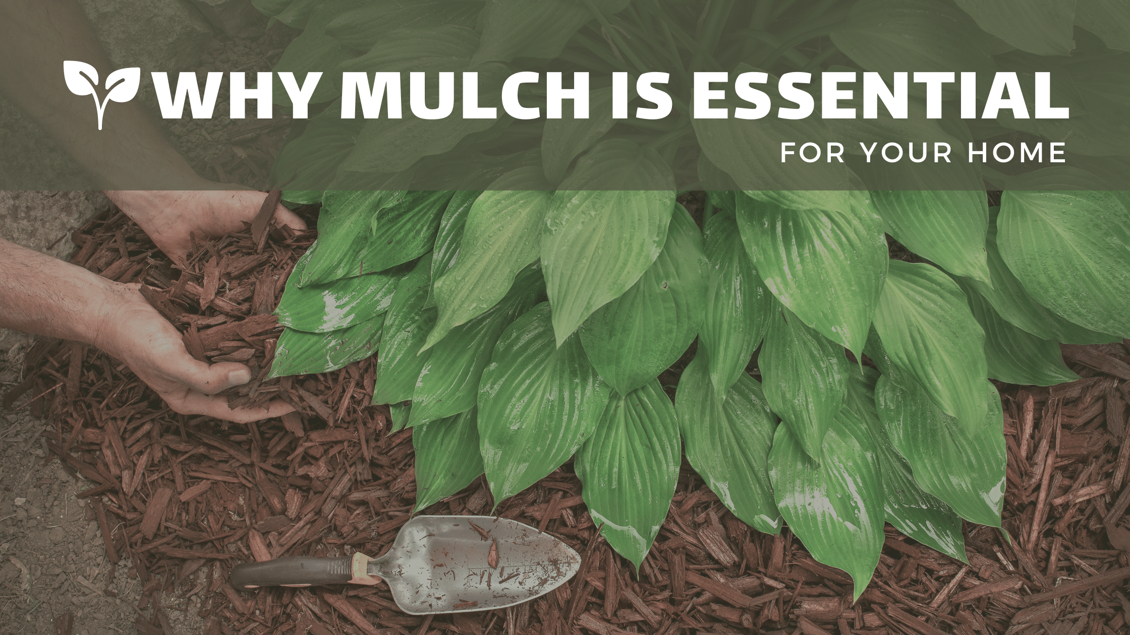 mulch landscaping essential title for blog