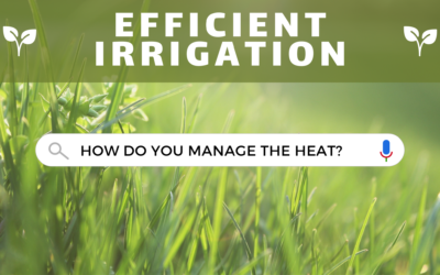 Efficient Irrigation: How Do You Manage The Heat?