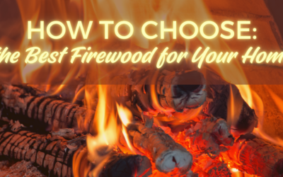 How to Choose the Best Firewood for Your Home