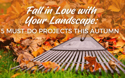 Fall in Love with Your Landscape: 5 Must-Do Projects This Autumn