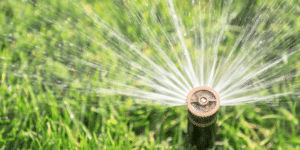 Lawn sprinkler