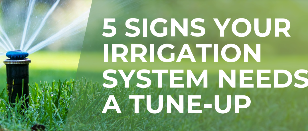 5 Signs Your Irrigation System Needs a Tune-Up