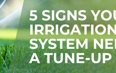 5 Signs Your Irrigation System Needs a Tune-Up