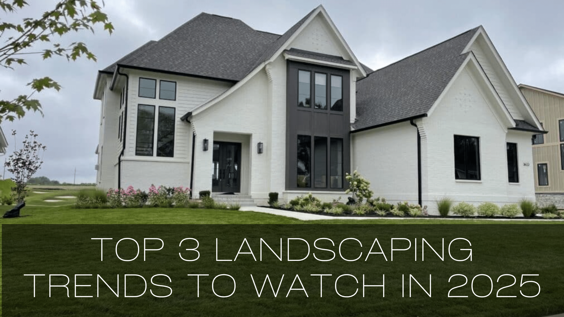 landscaping trend