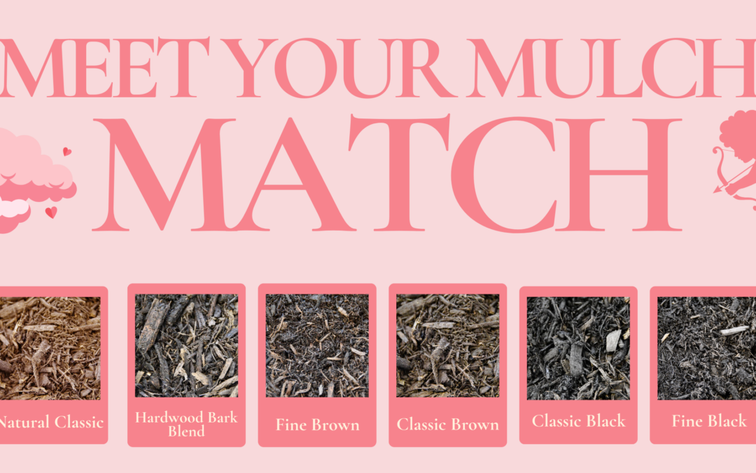 Meet Your Mulch Match