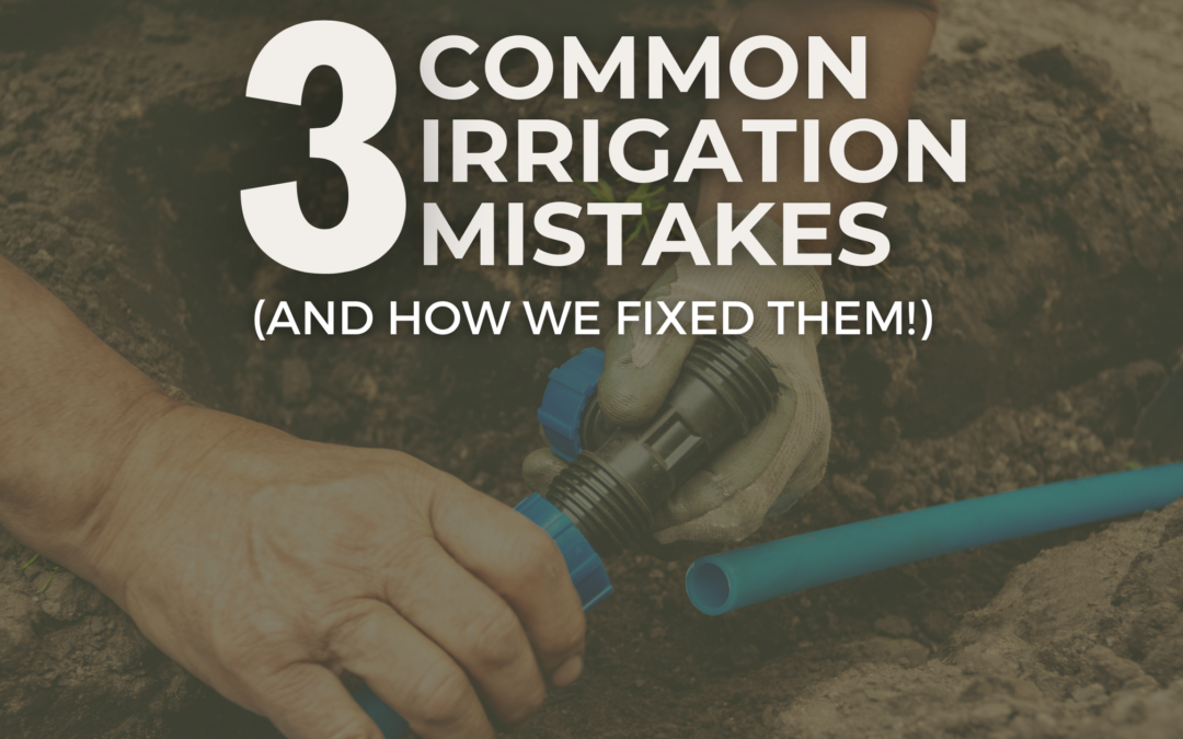 Three Common Irrigation Mistakes (and How We Fixed Them!)