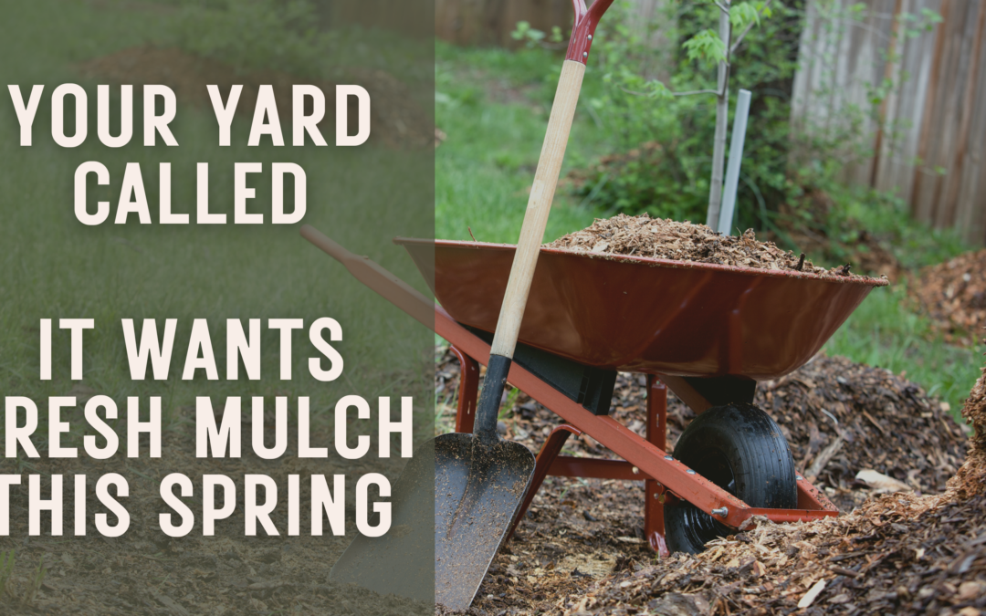 Your Yard Called—It Wants Fresh Mulch This Spring