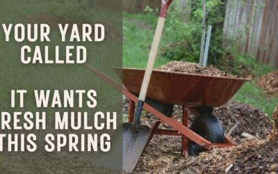 Your Yard Called—It Wants Fresh Mulch This Spring